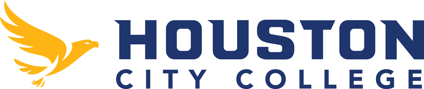 Houston City College